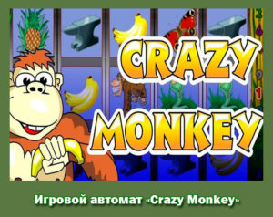 Игровой автомат «Crazy Monkey»