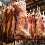 Как заработать на торговле мясом оптом?