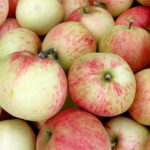 Рецепты приготовления яблочного компота — полезные советы